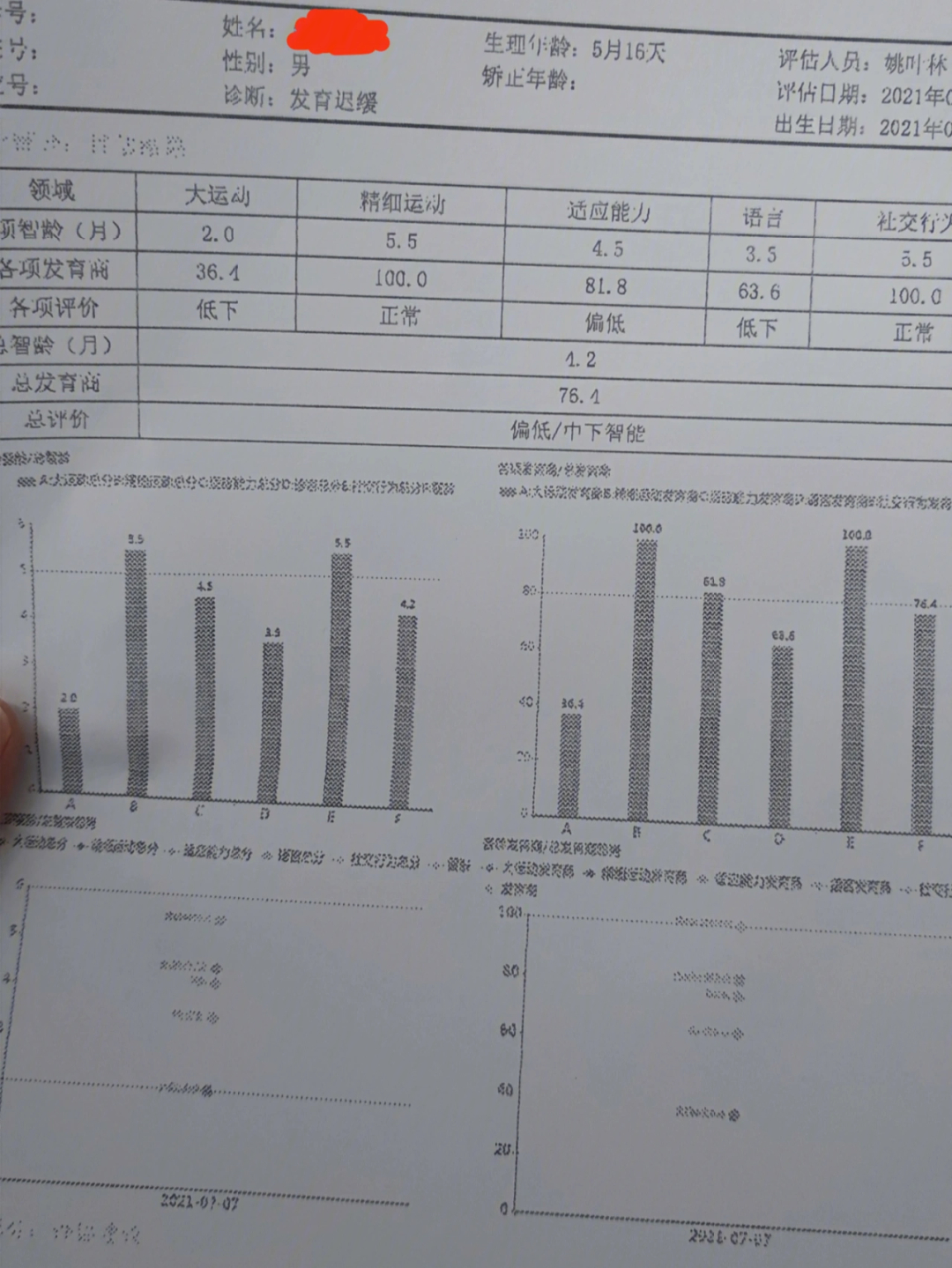 gesell评分图片