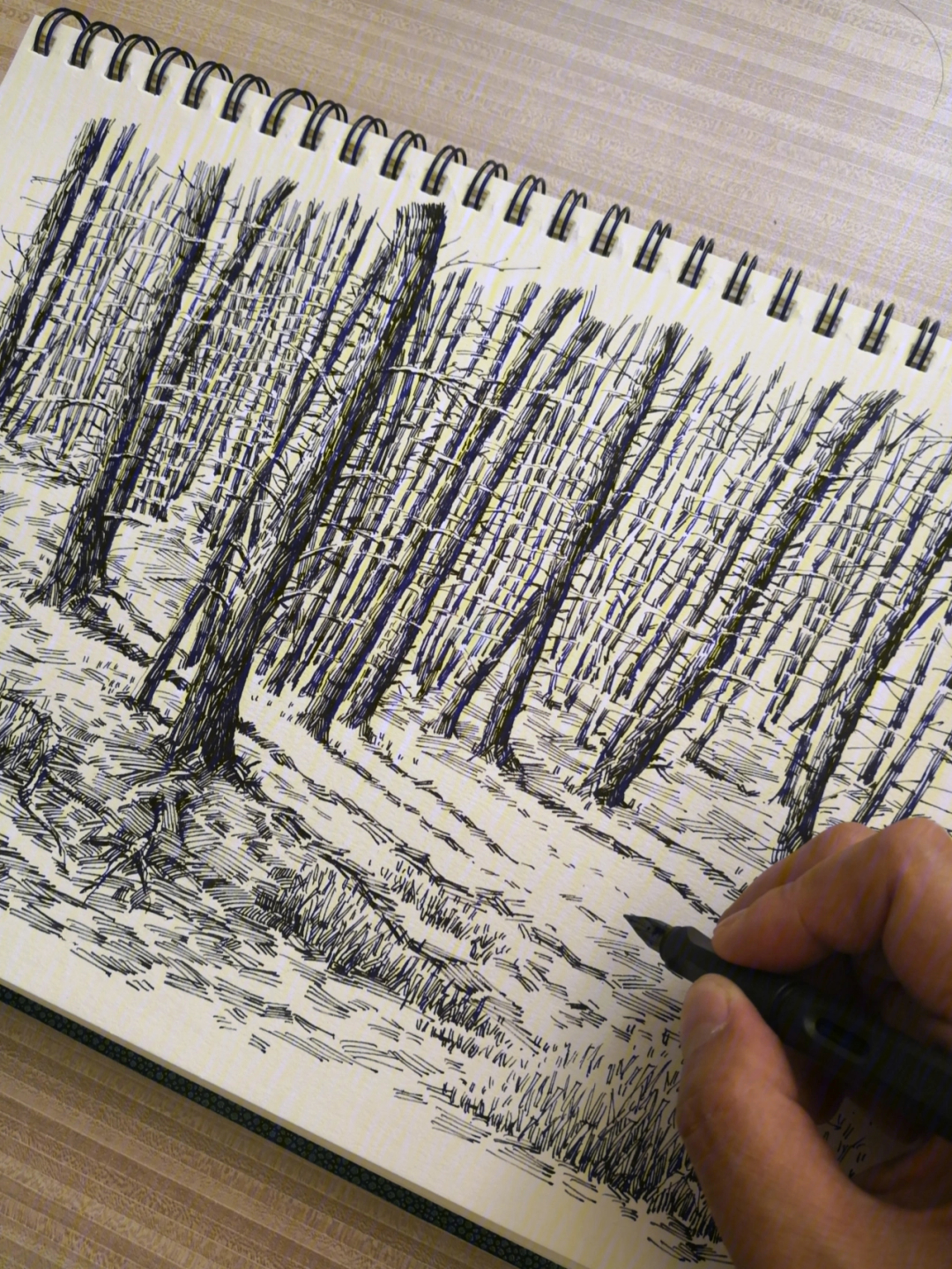 钢笔画尝试小树林新画法