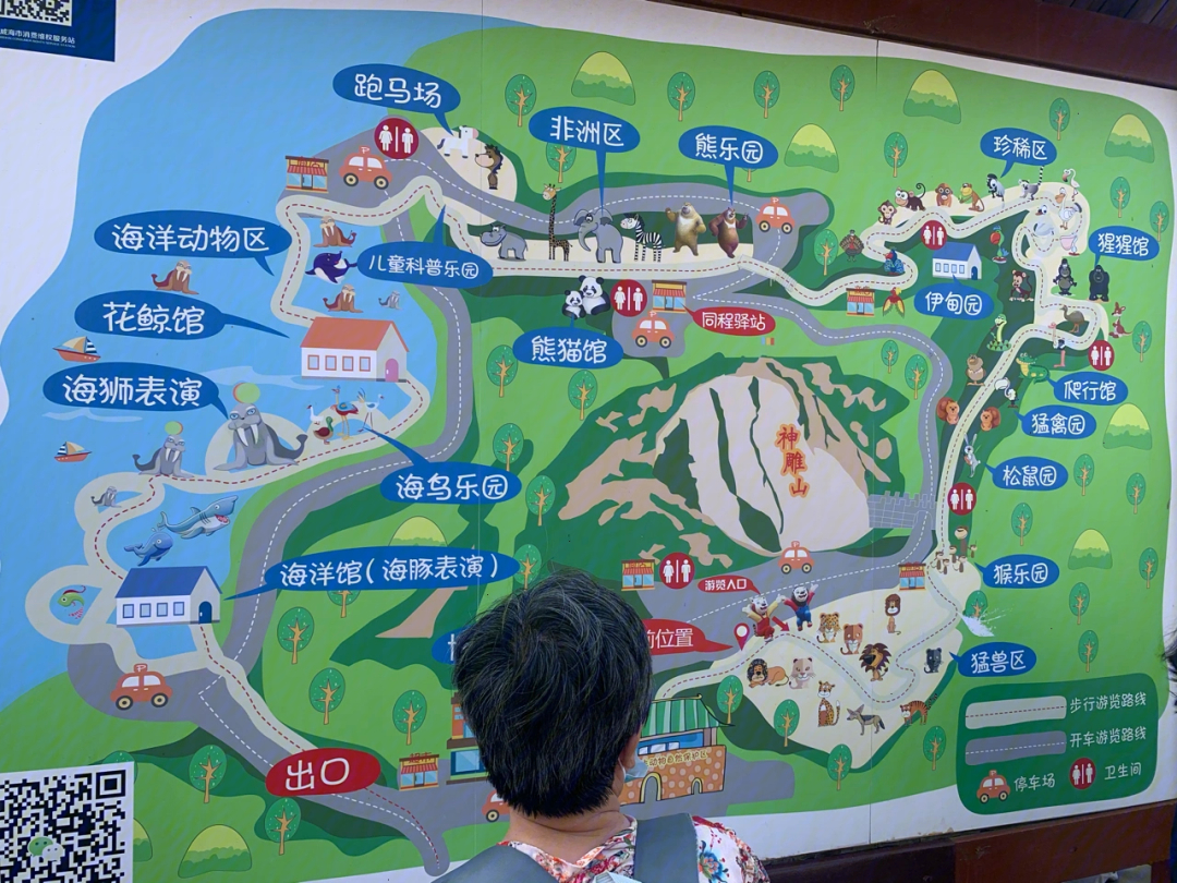 青岛威海神雕山野生动物园中