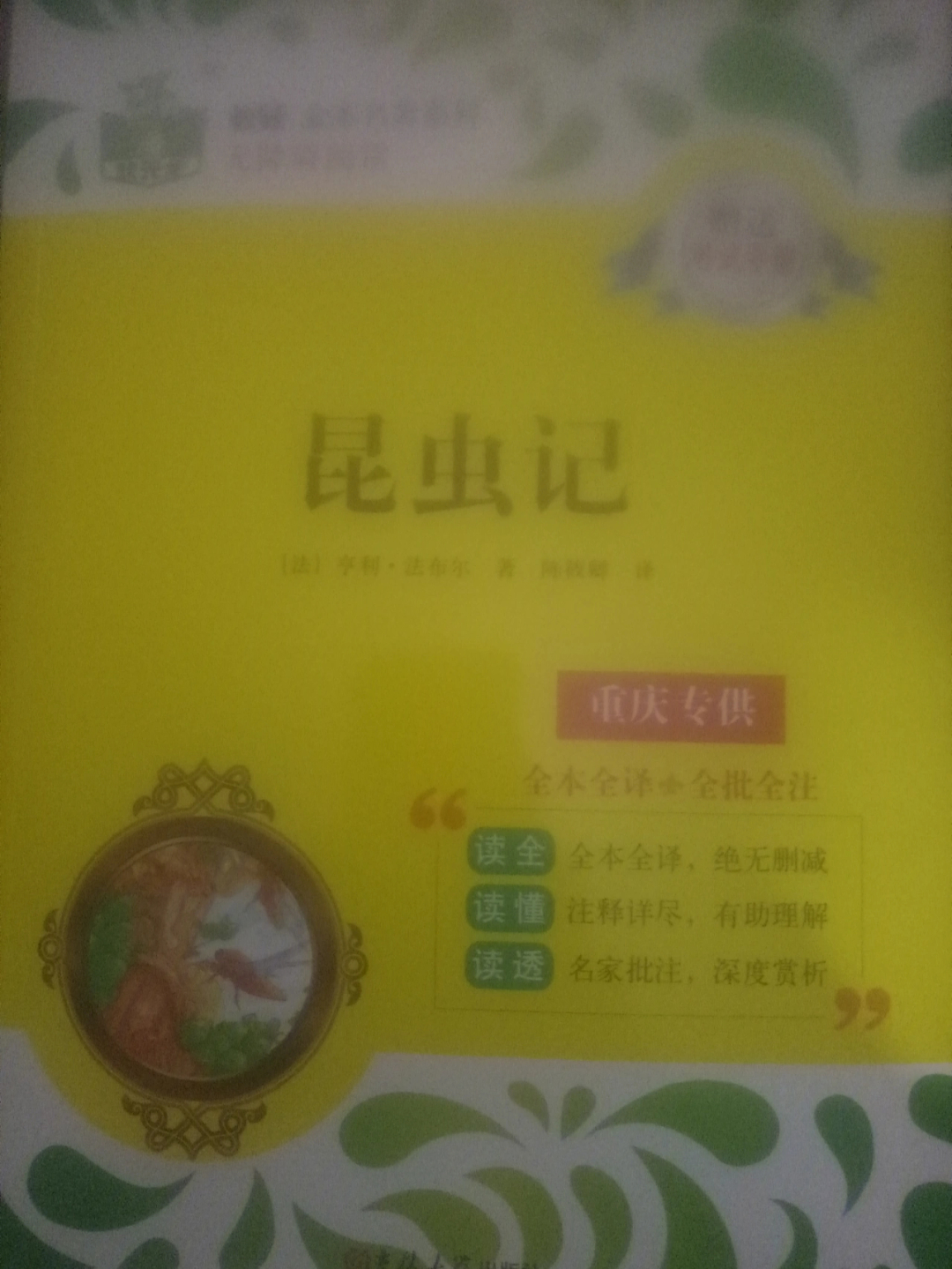 圣甲虫的梨形粪球批注图片