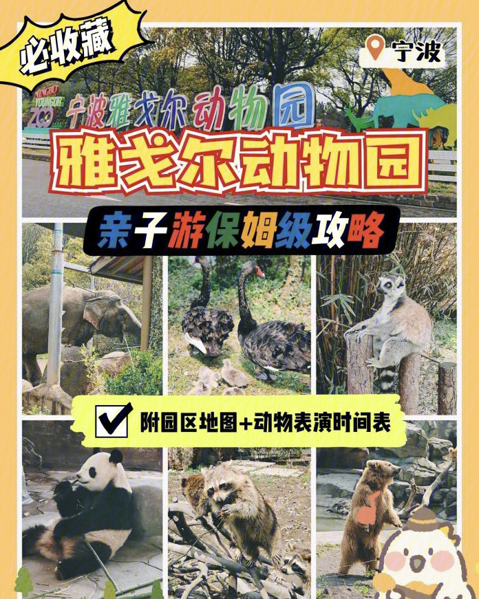 宁波雅戈尔动物园攻略图片