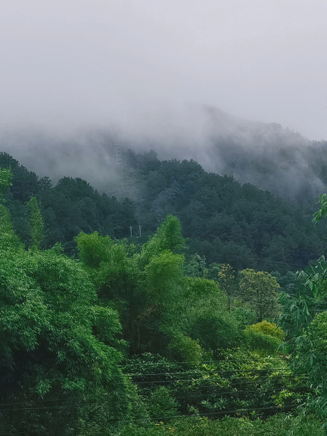 夏日山中拼音图片