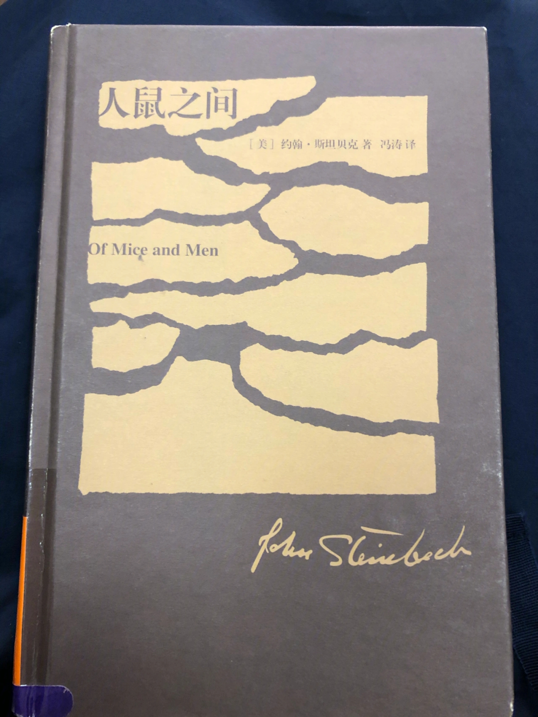 在农场打工的朋友,其中一个是傻子(单纯 经常惹祸),最底层人民的生活