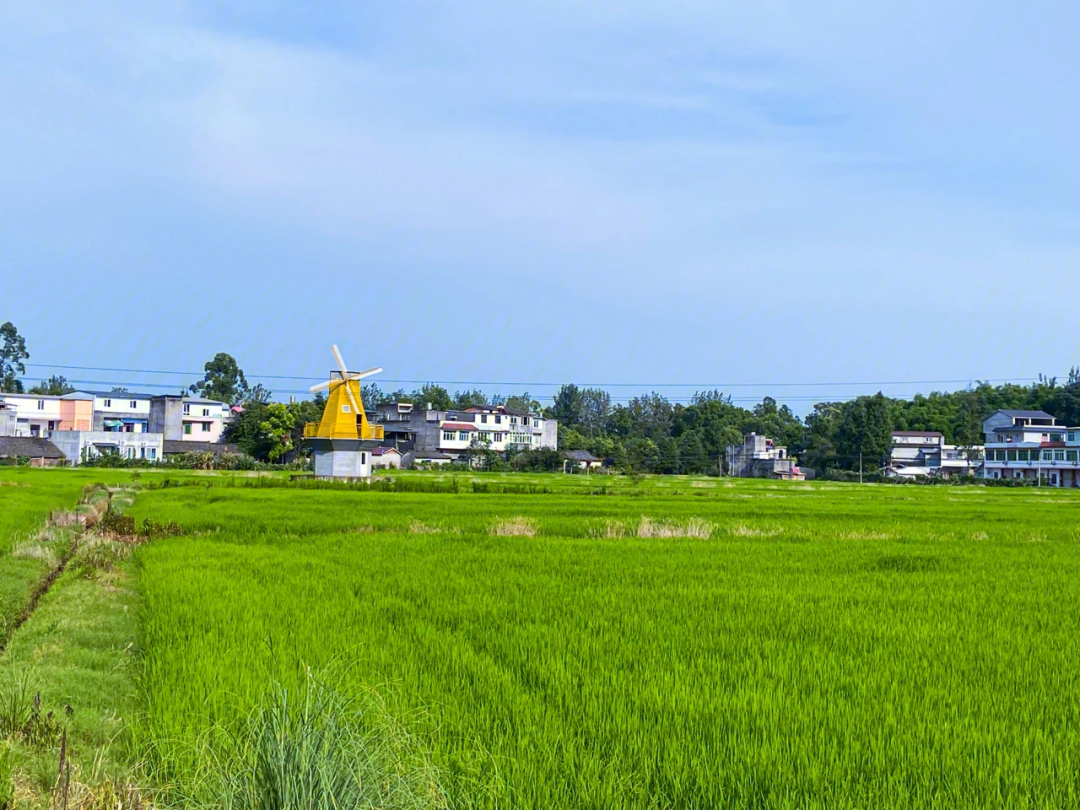 拍照圣地→籍田乡村画廊