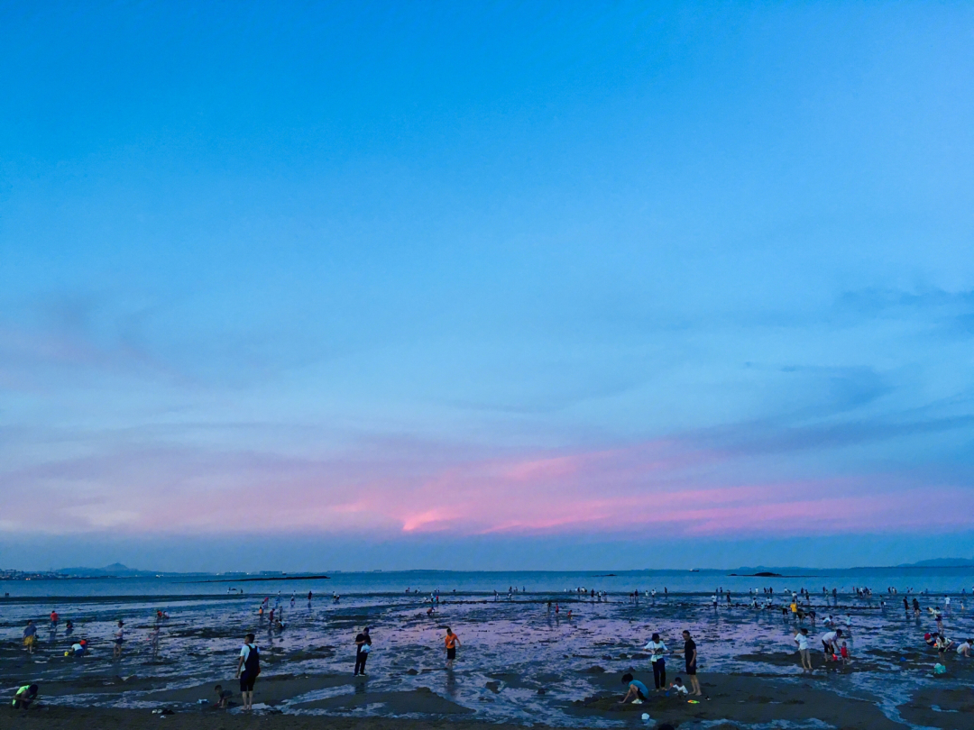 厦门后田海滩赶海图片