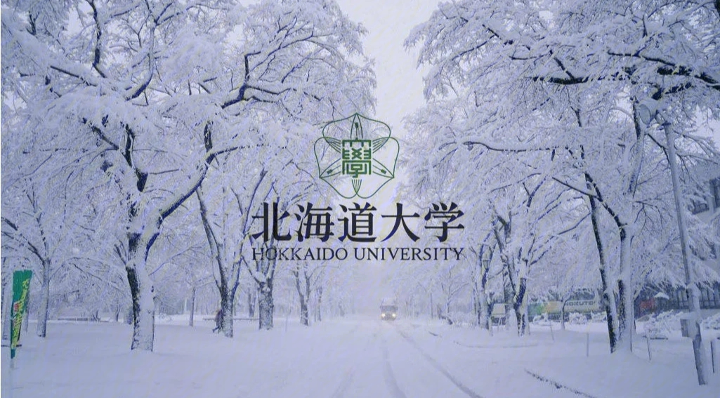 北海道大学logo图片