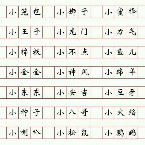 给狗狗取名字 独特图片