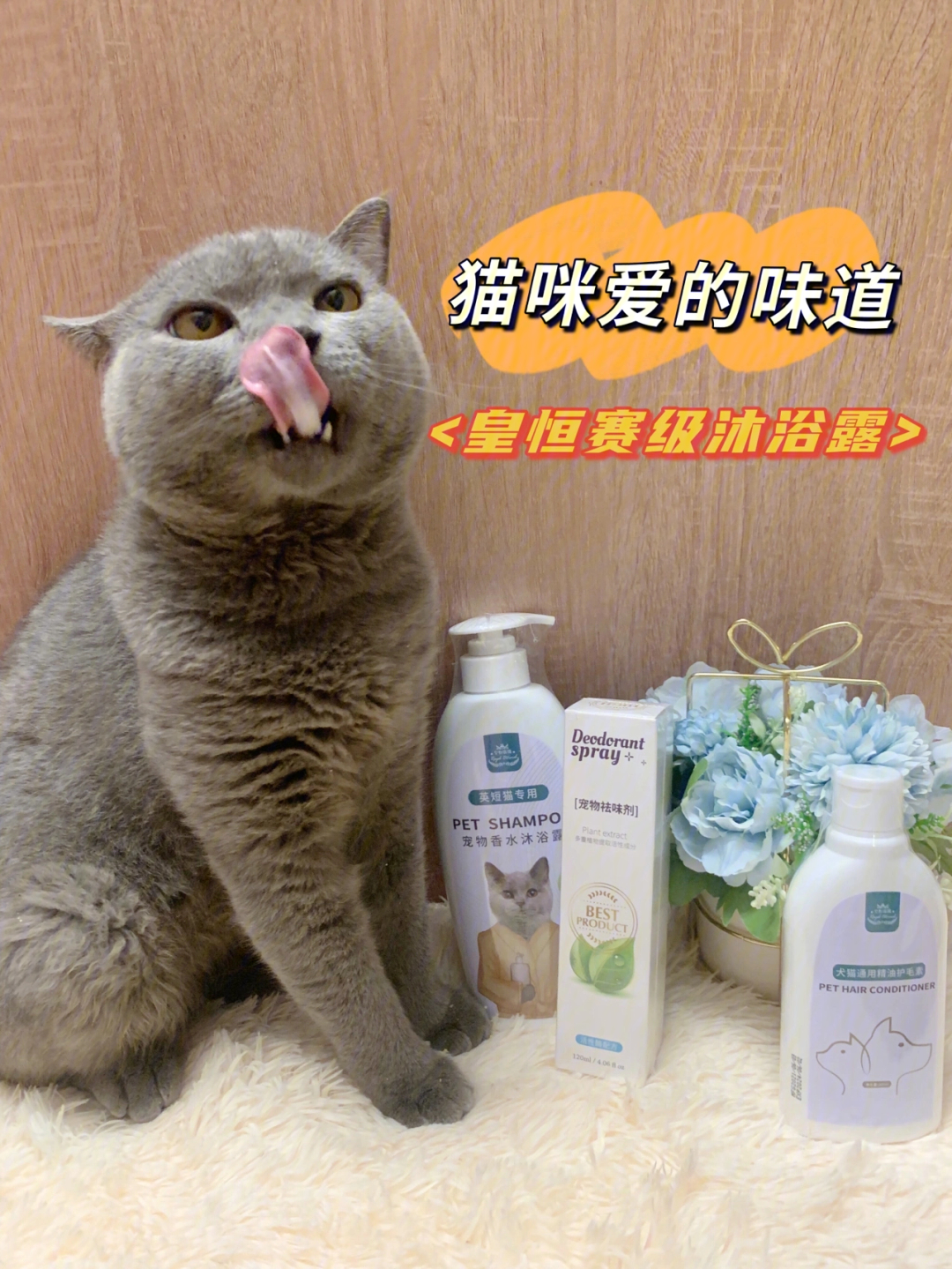 十大宠物猫沐浴露品牌图片