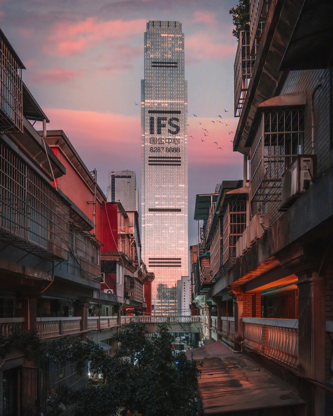 94 ifs,位于解放西路城市经典商业楼15f的空中花园,推荐广角拍摄