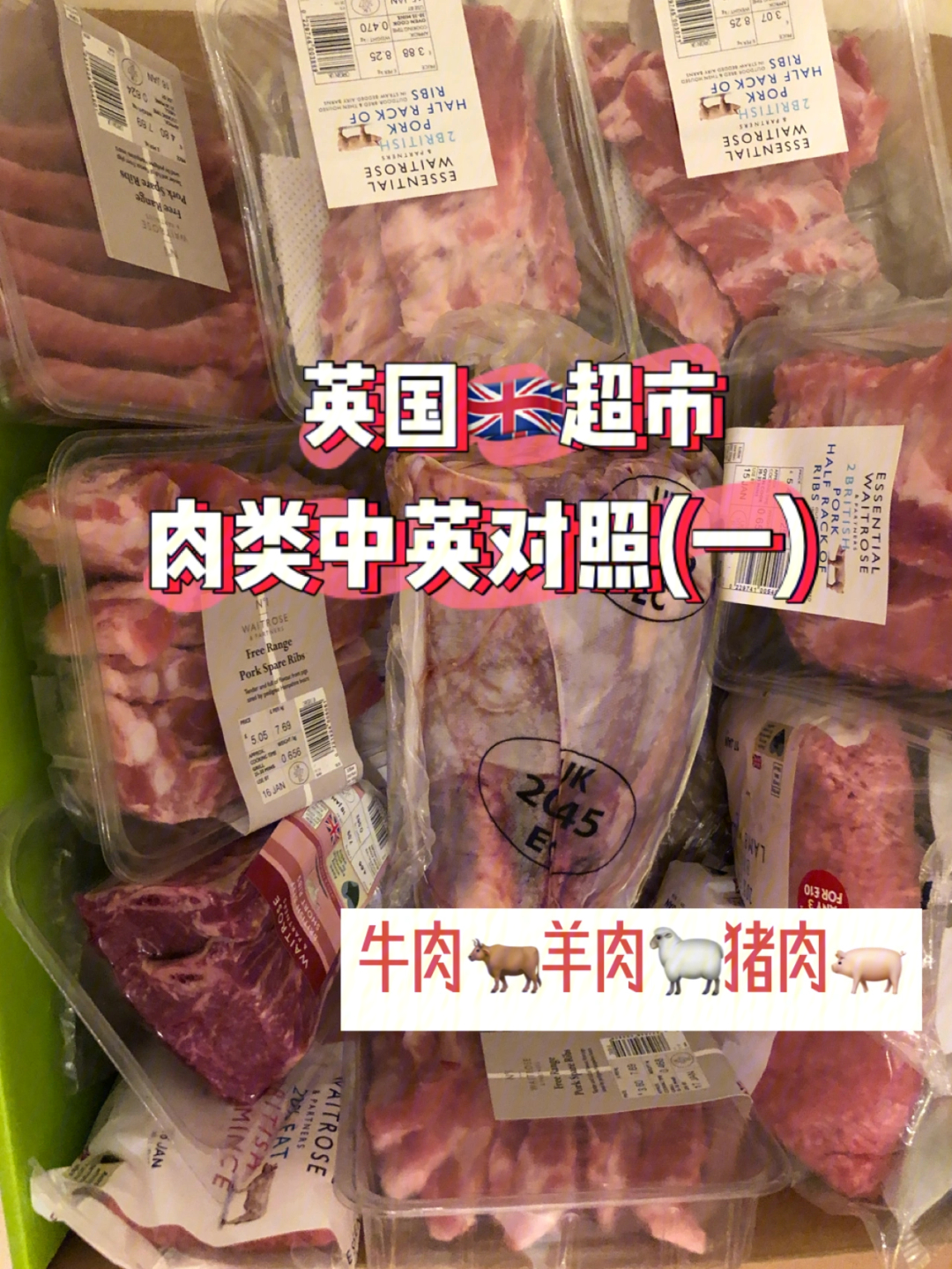 英国9297超市|肉类 中英对照6015牛96羊91猪96