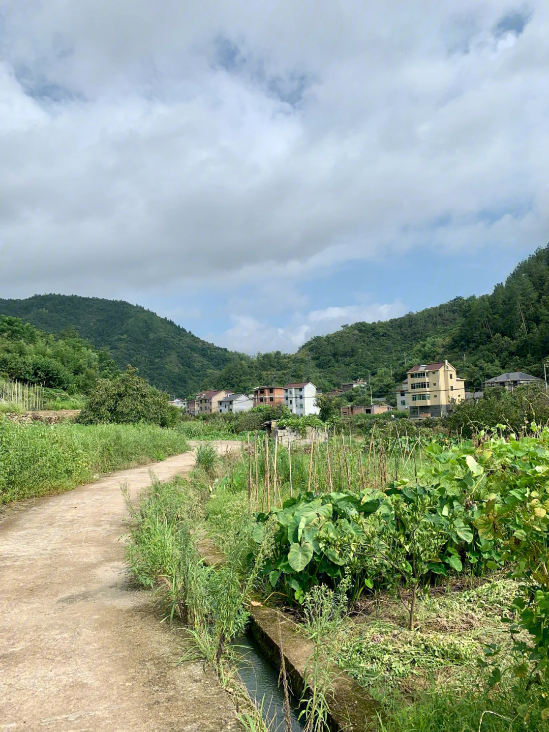 夏日田园美容图片