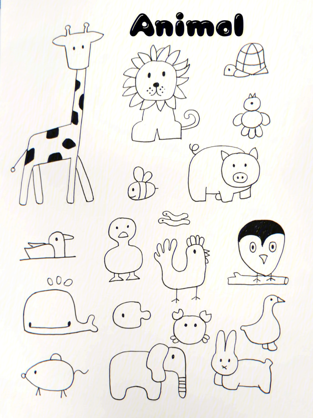小动物简笔画图文图片
