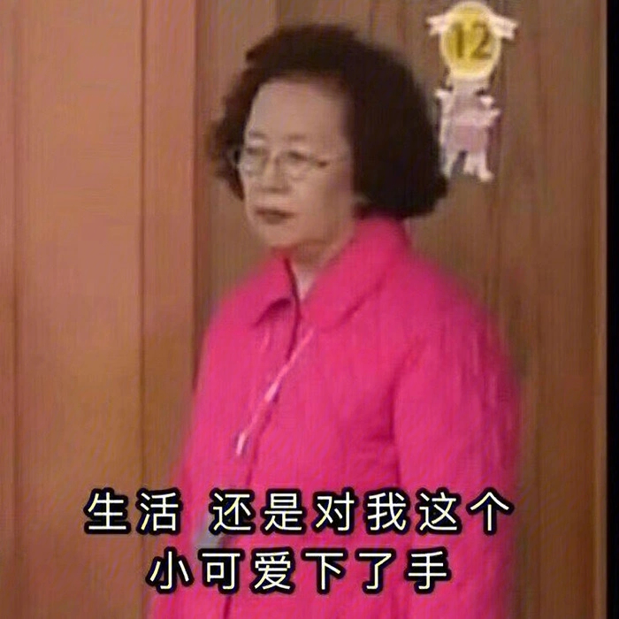 蔡文姬奶奶的表情包