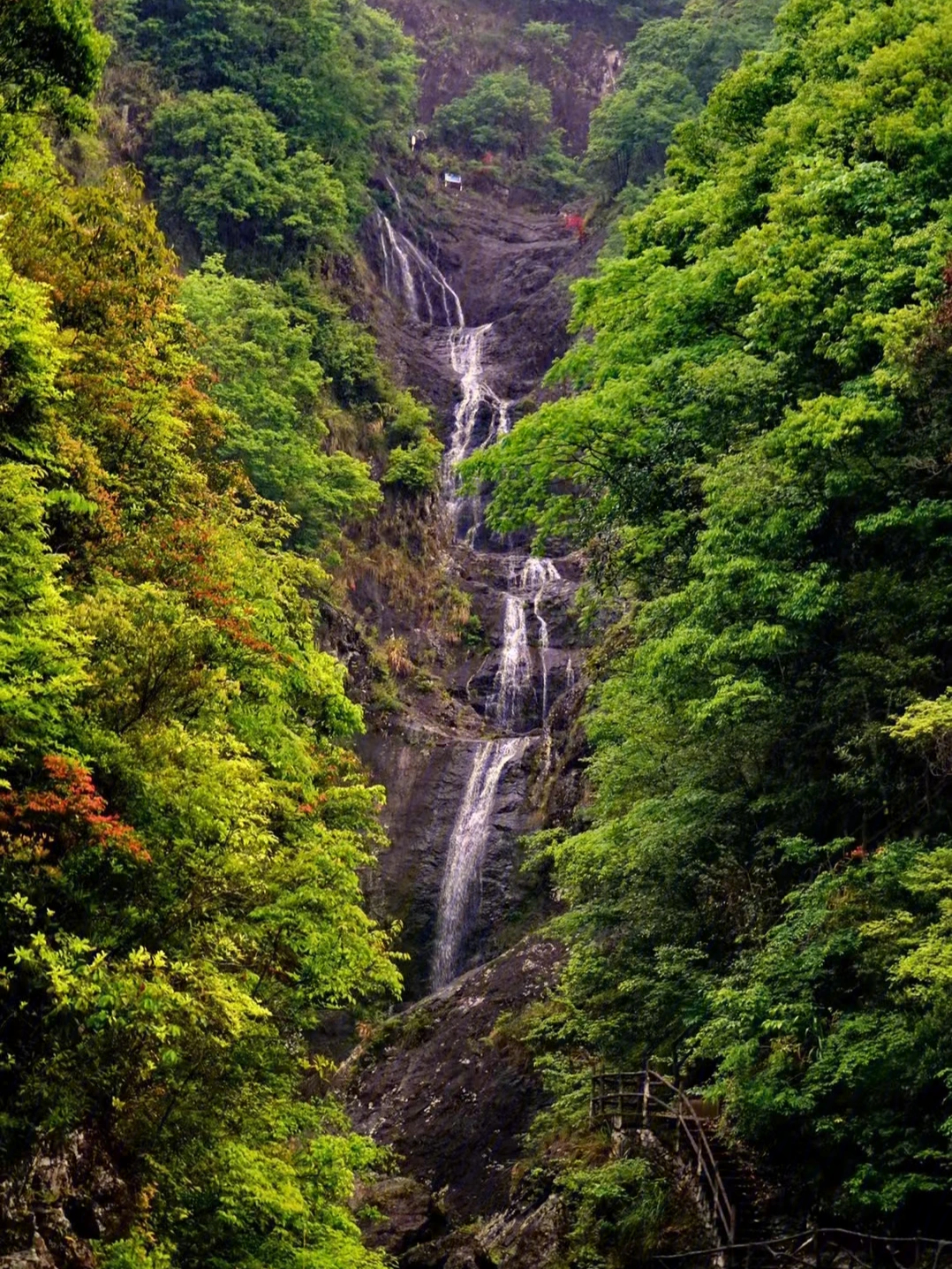 泰顺景区景点介绍图片