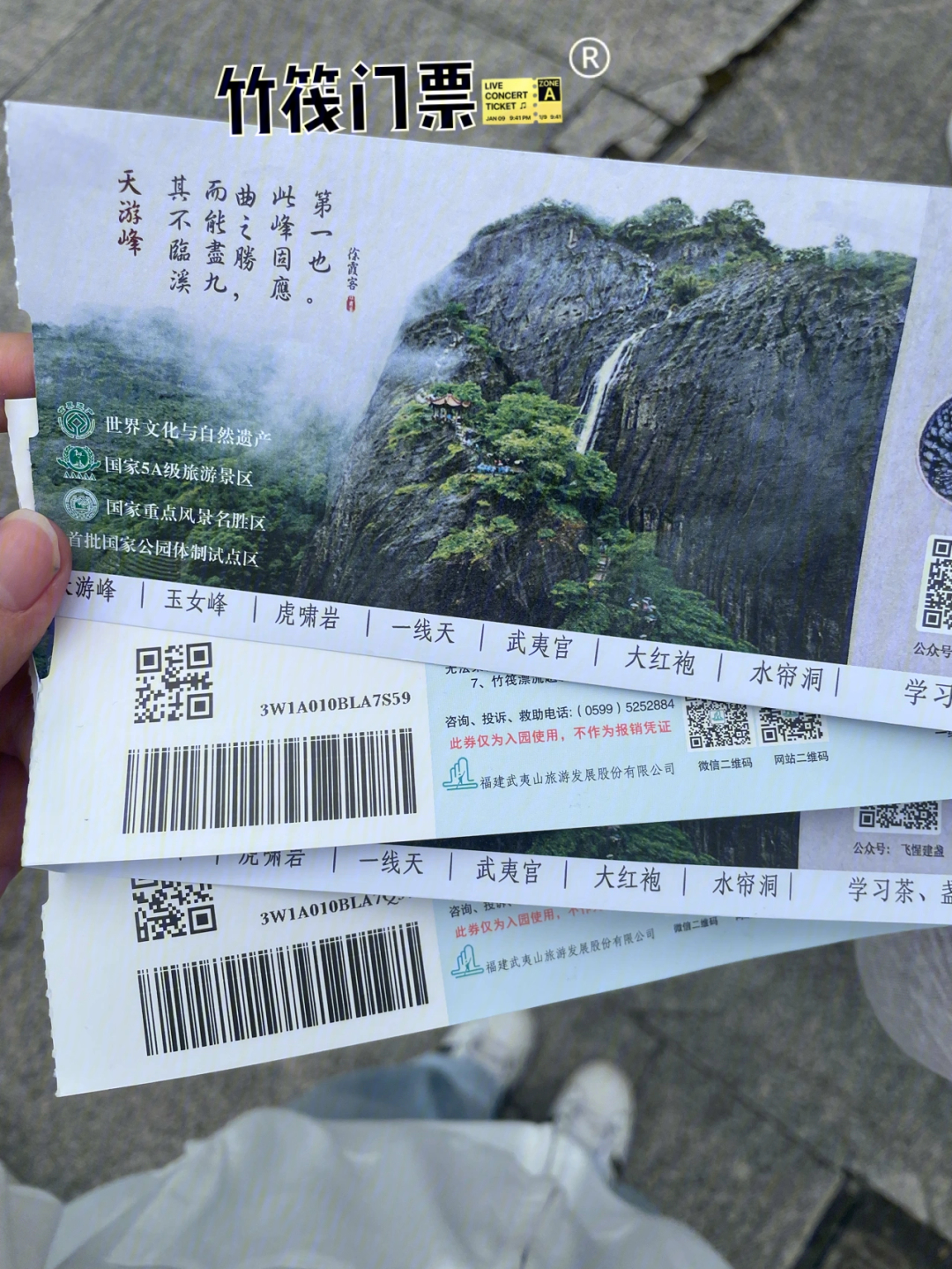 南山竹海门票图片