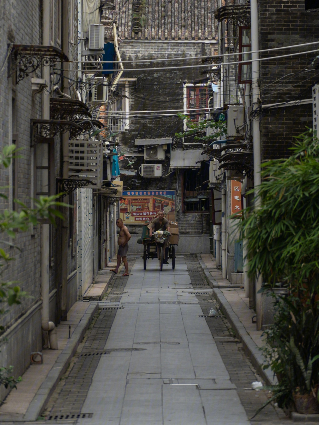 广州增城廖村小巷子图片