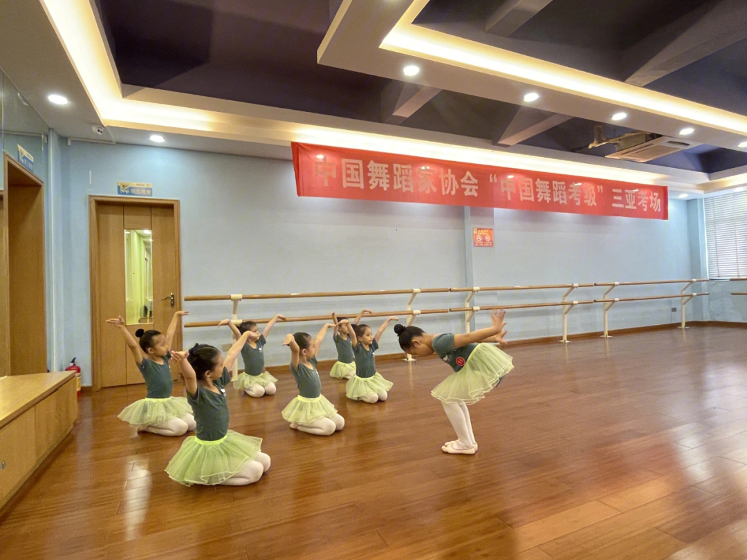 中国舞蹈家协会少儿考级少儿舞蹈