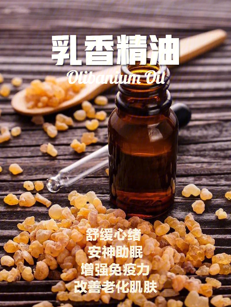 乳香精油的作用图片