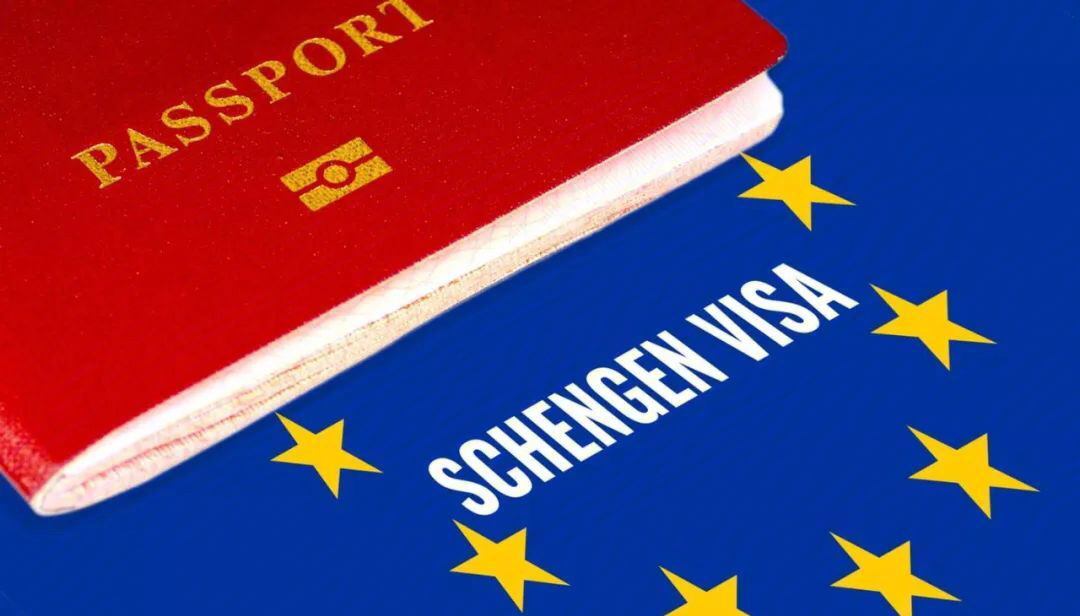 瑞士护照样本图解图片