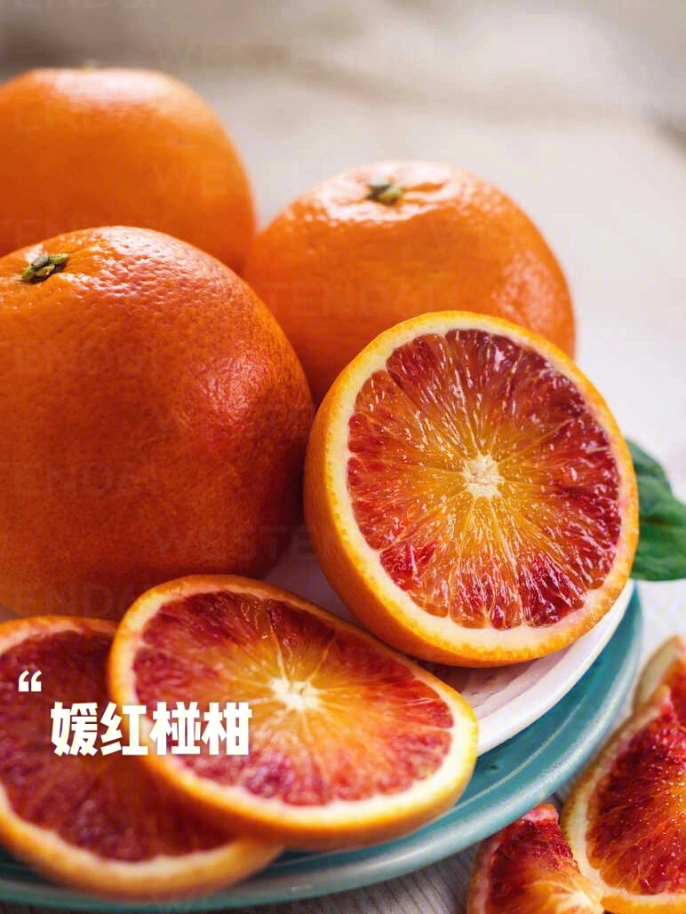丽红柑橘简介图片