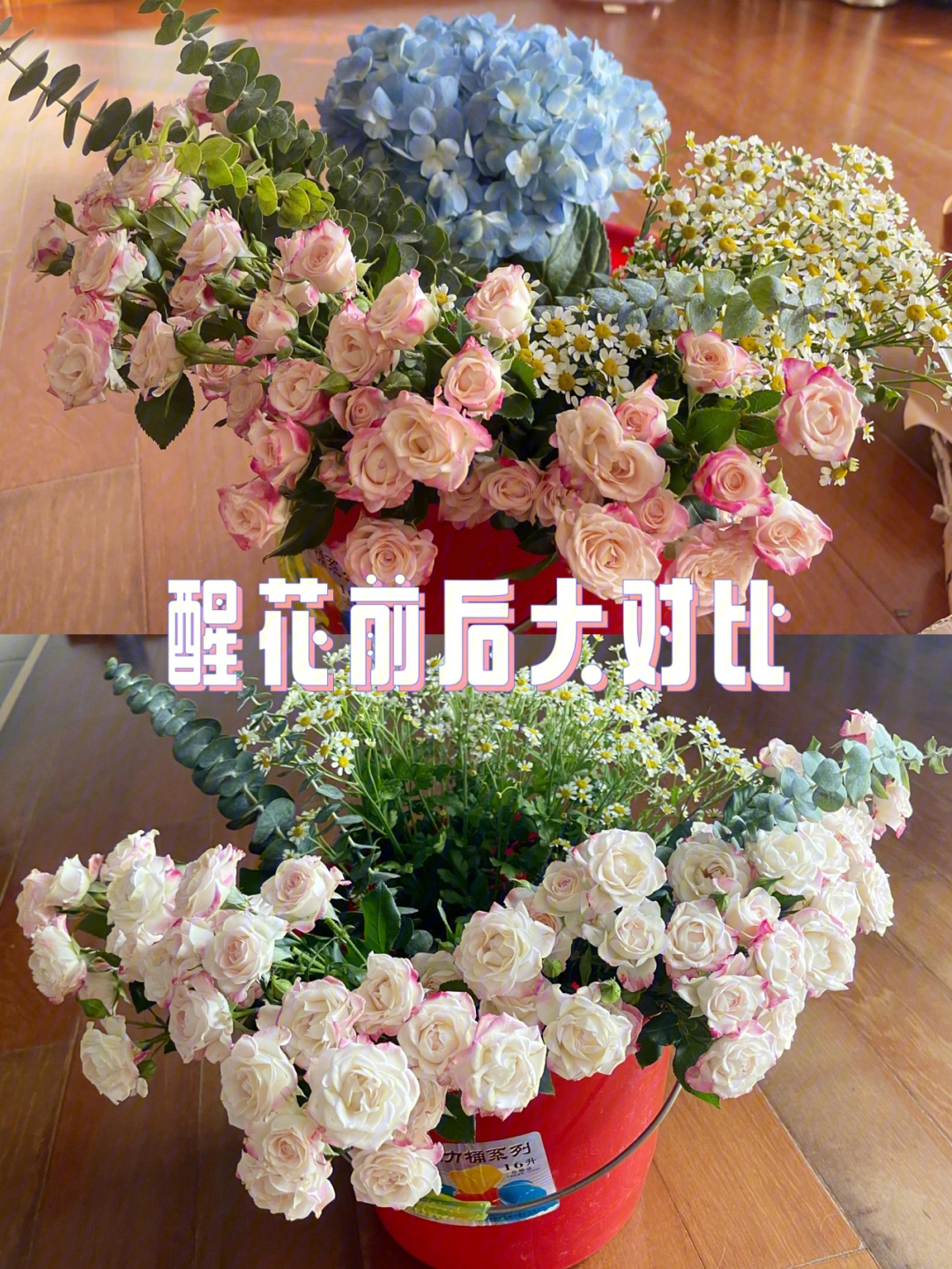 小雏菊醒花步骤图片