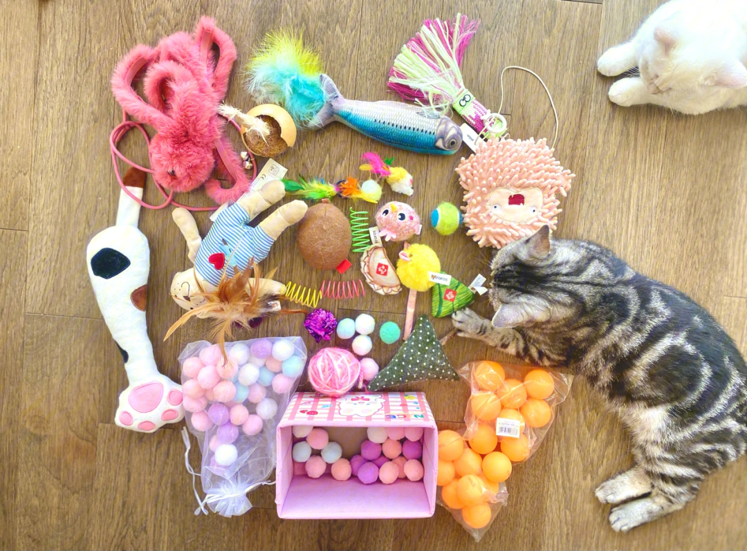 猫咪小玩具大杂烩