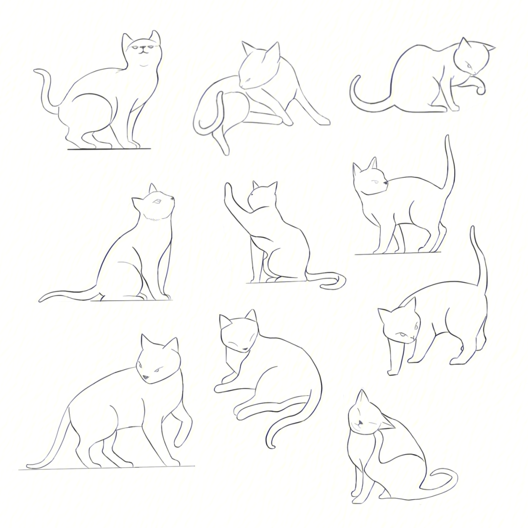 猫简笔画 形态图片