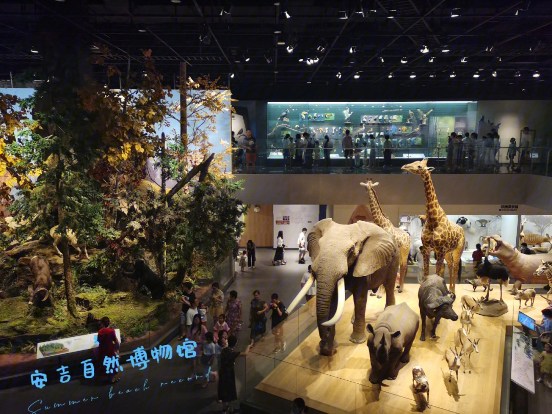 首先微信关注浙江自然博物馆,点击右下角自博服务,预约安吉自然博物