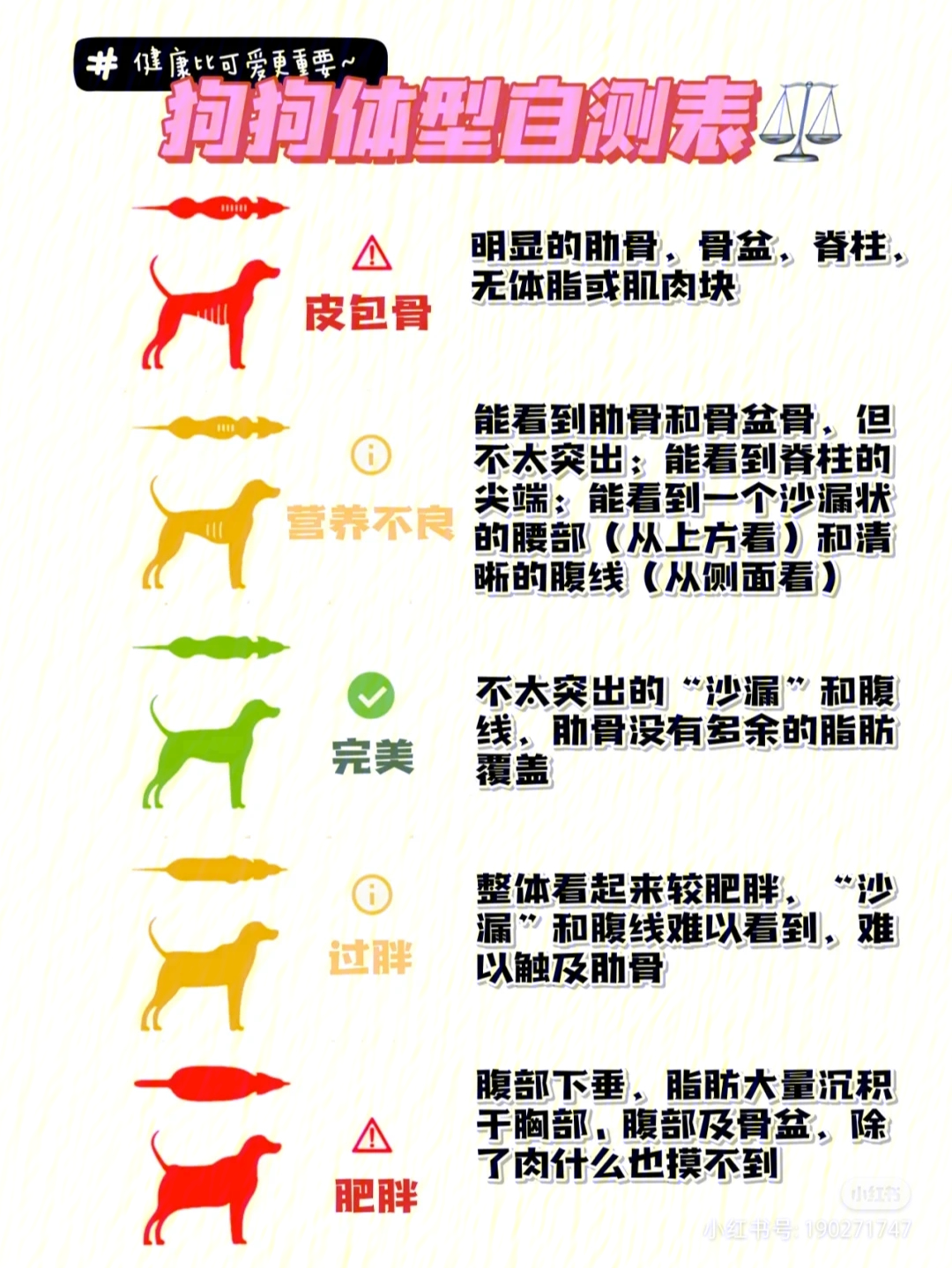 狗狗胖瘦体型对照图图片