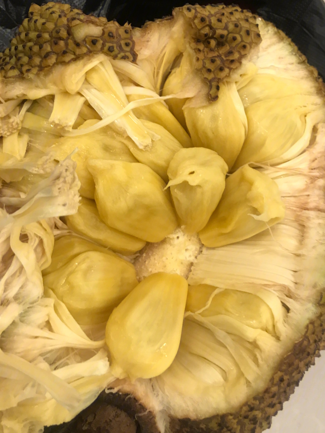 广西本地菠萝蜜也叫木菠萝超好吃