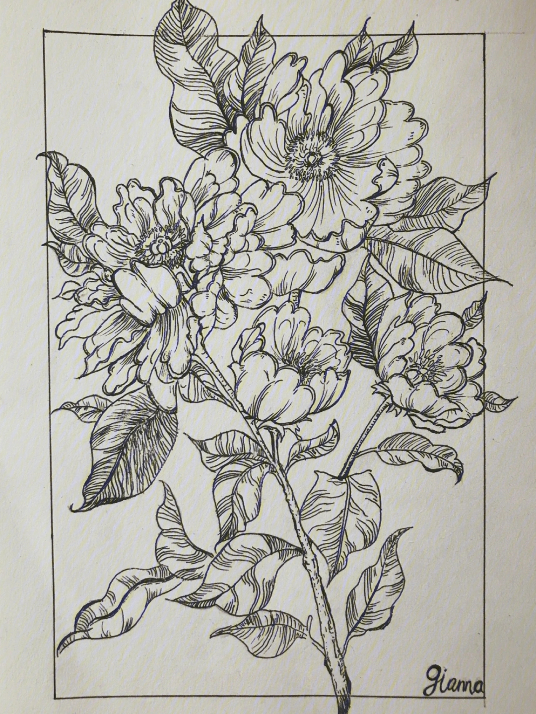 花卉线描画 高难度图片