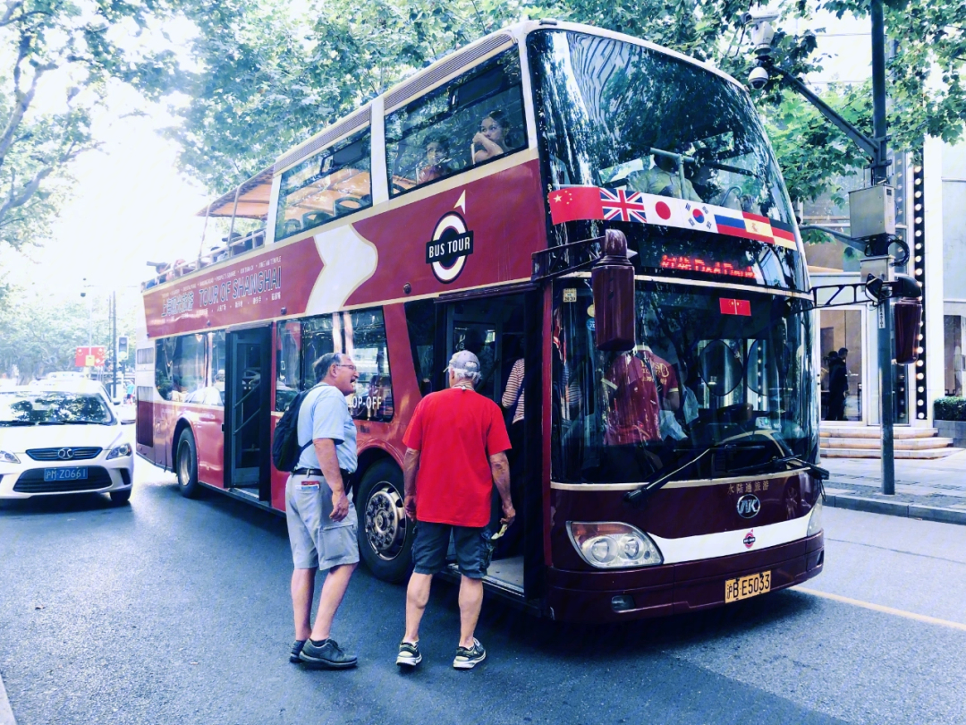 guided bus tour图片