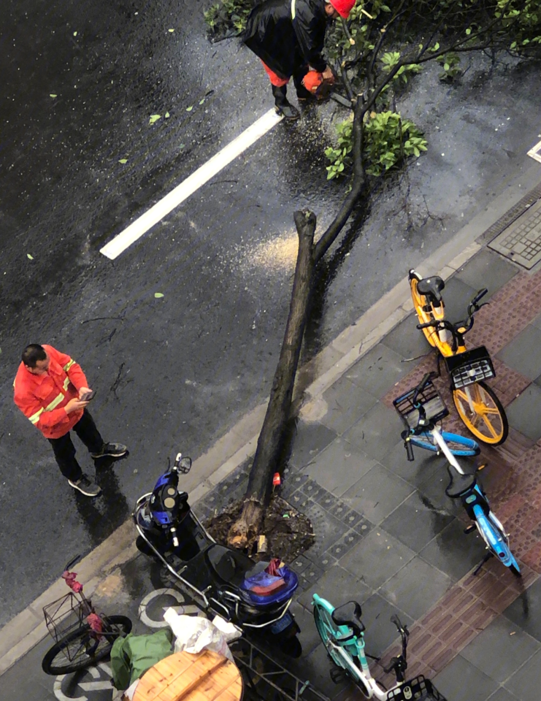 上海台风烟花到底算来过了吗