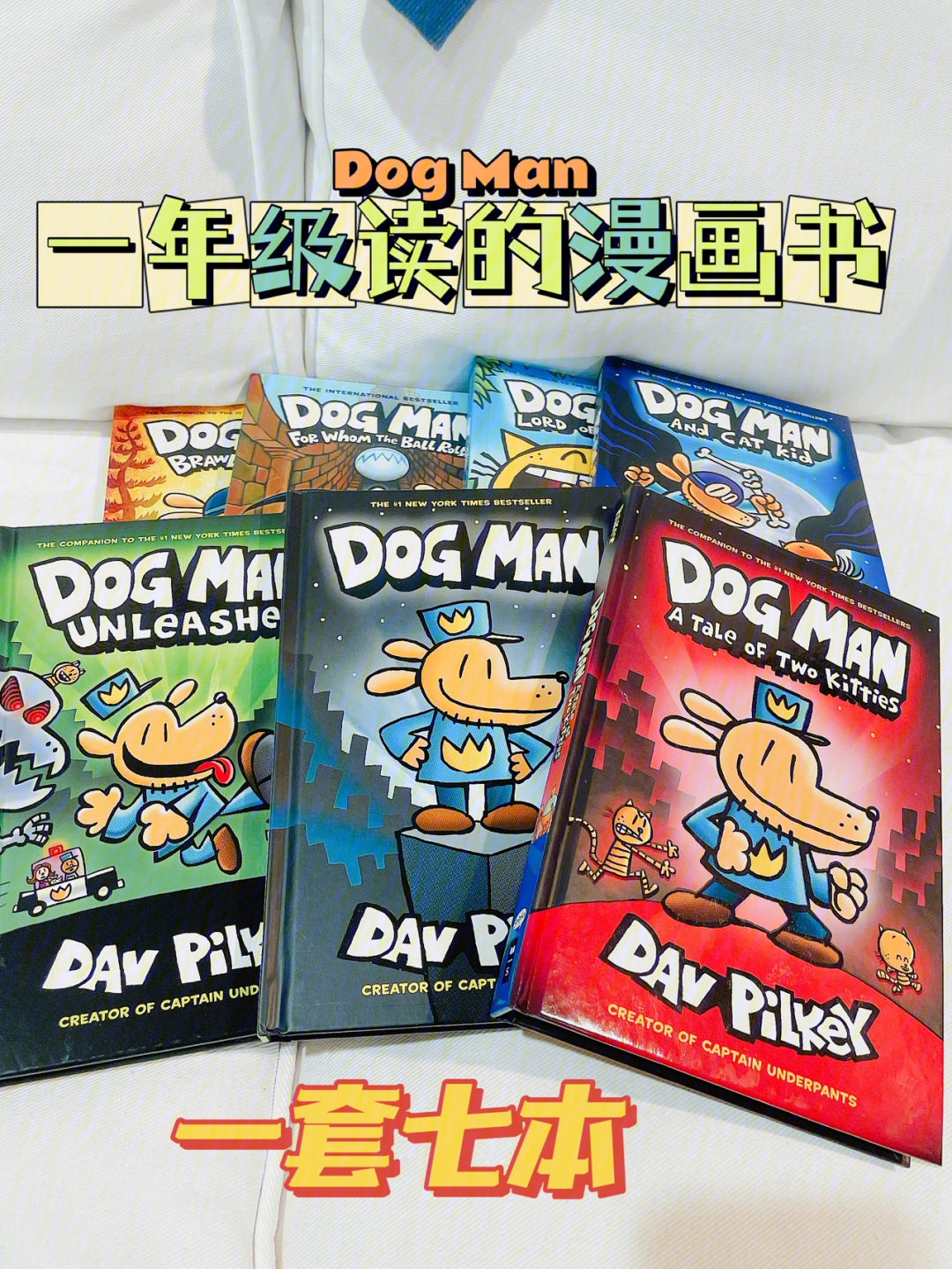 澳洲适合一年级小朋友读的卡通书dogman