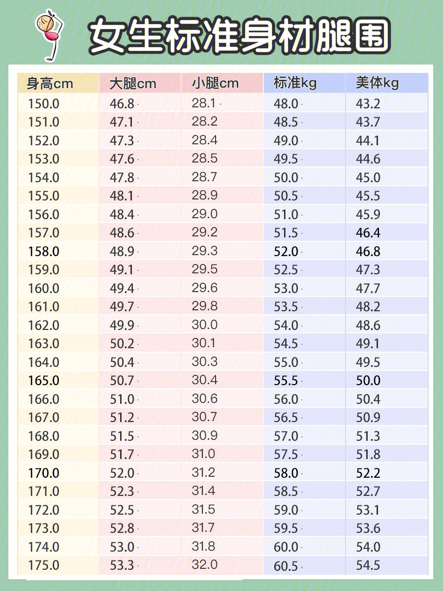 模特大腿围标准对照表图片