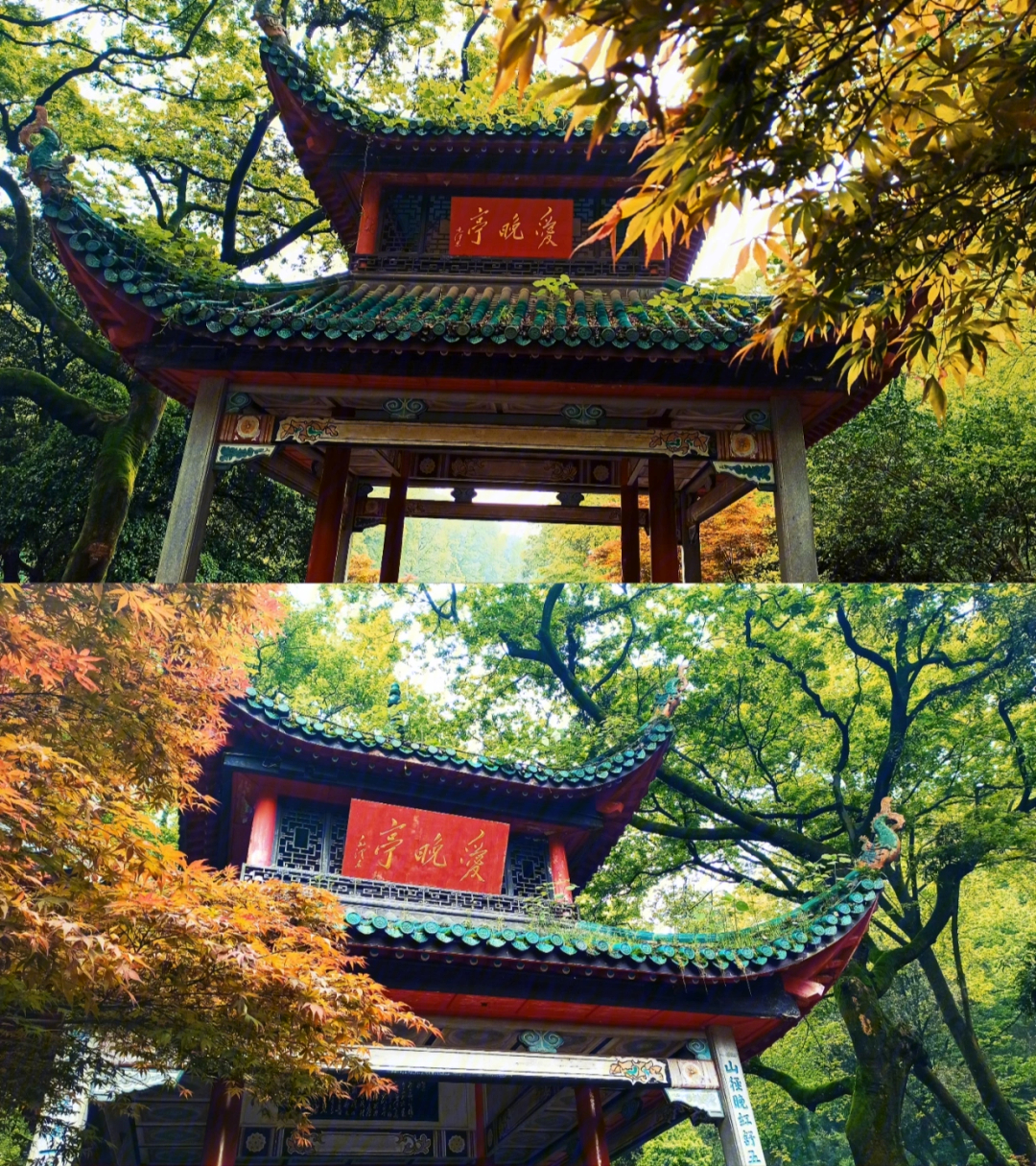 长沙岳麓山赏红枫古麓山寺爱晚亭岳麓书院