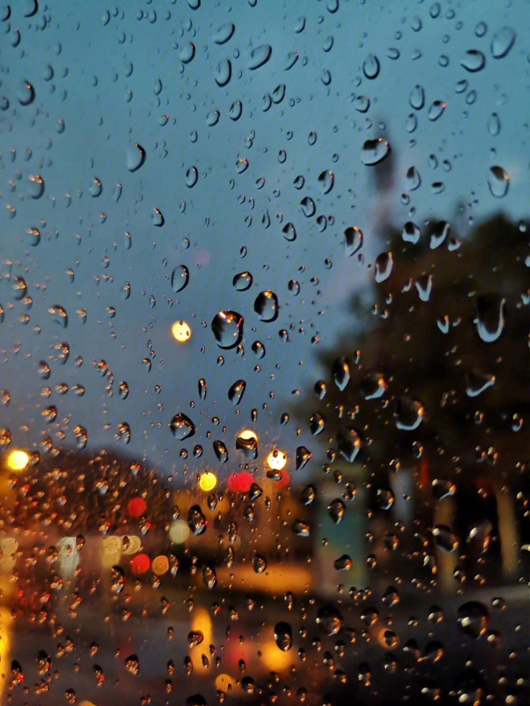 拍的最有感觉的几张雨天照片