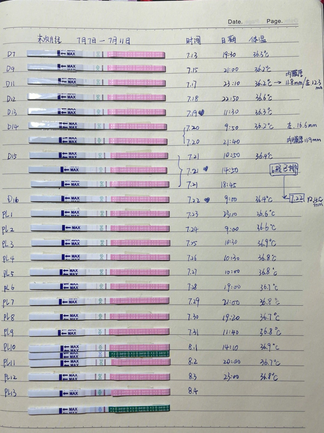 着床成功排卵试纸颜色图片