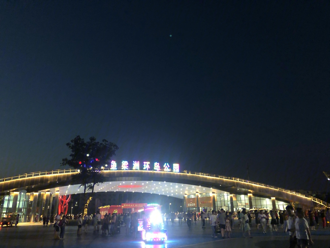 襄阳鱼梁洲夜景图片