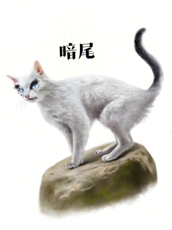猫武士白尾图片