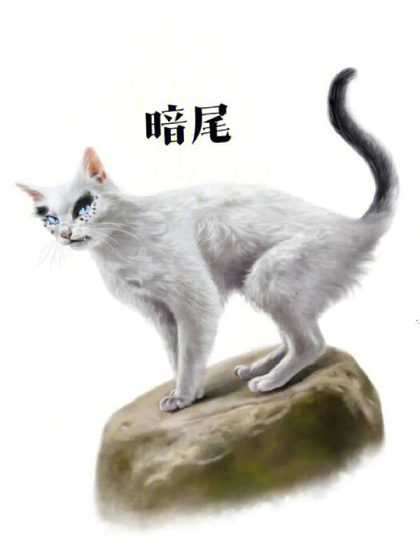 猫武士黑脚图片