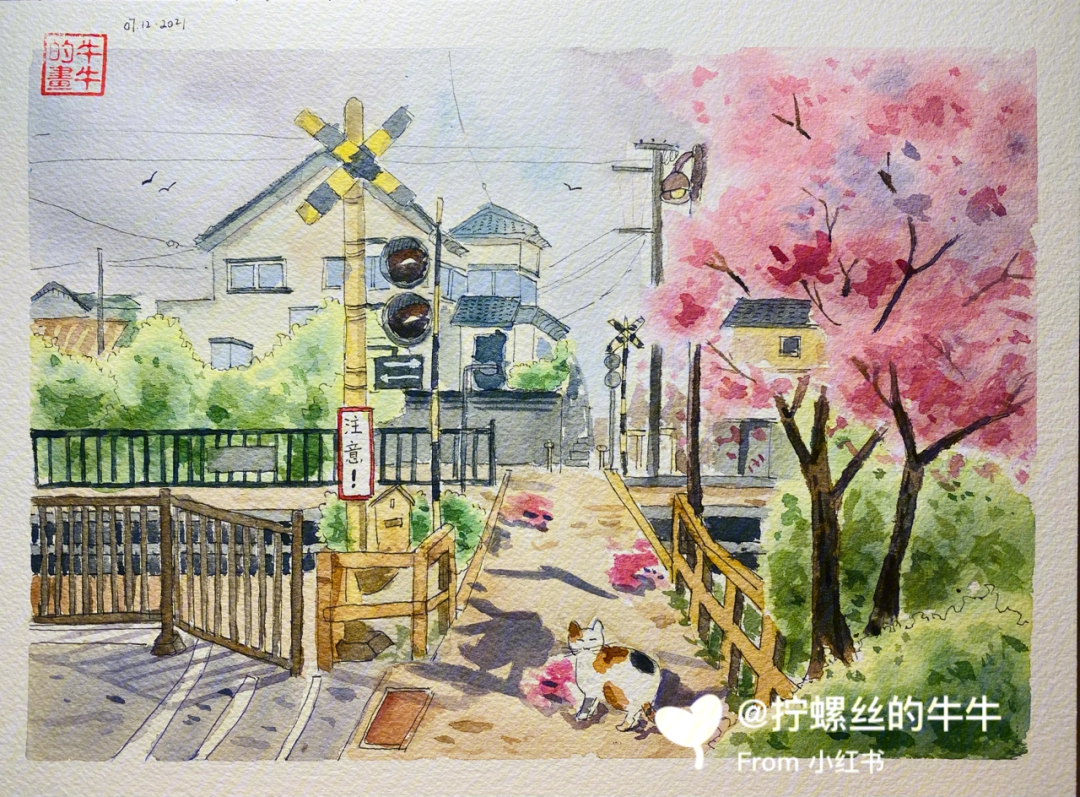 钢笔淡彩樱花街景附过程线稿