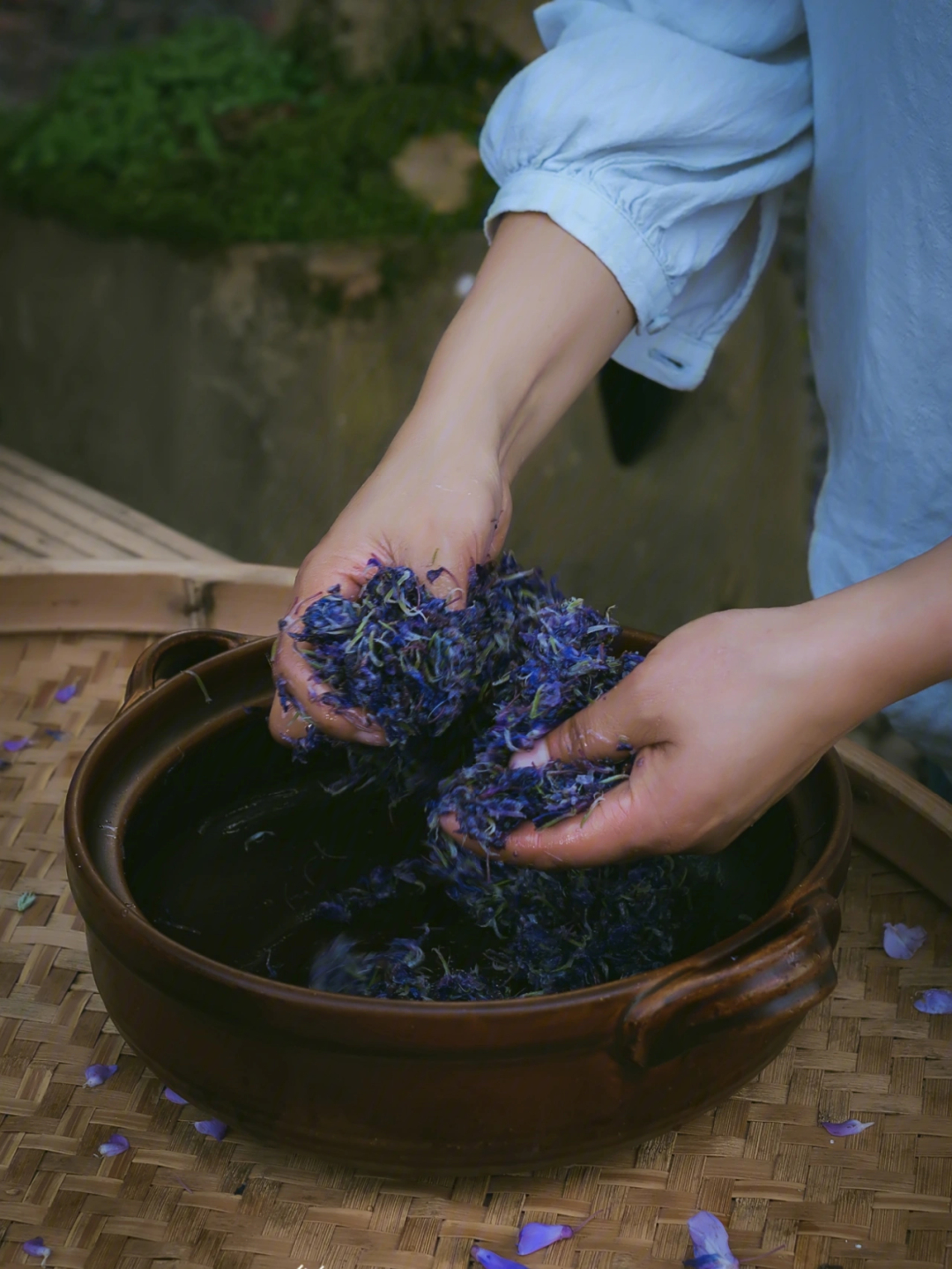 紫藤花食用方法图片