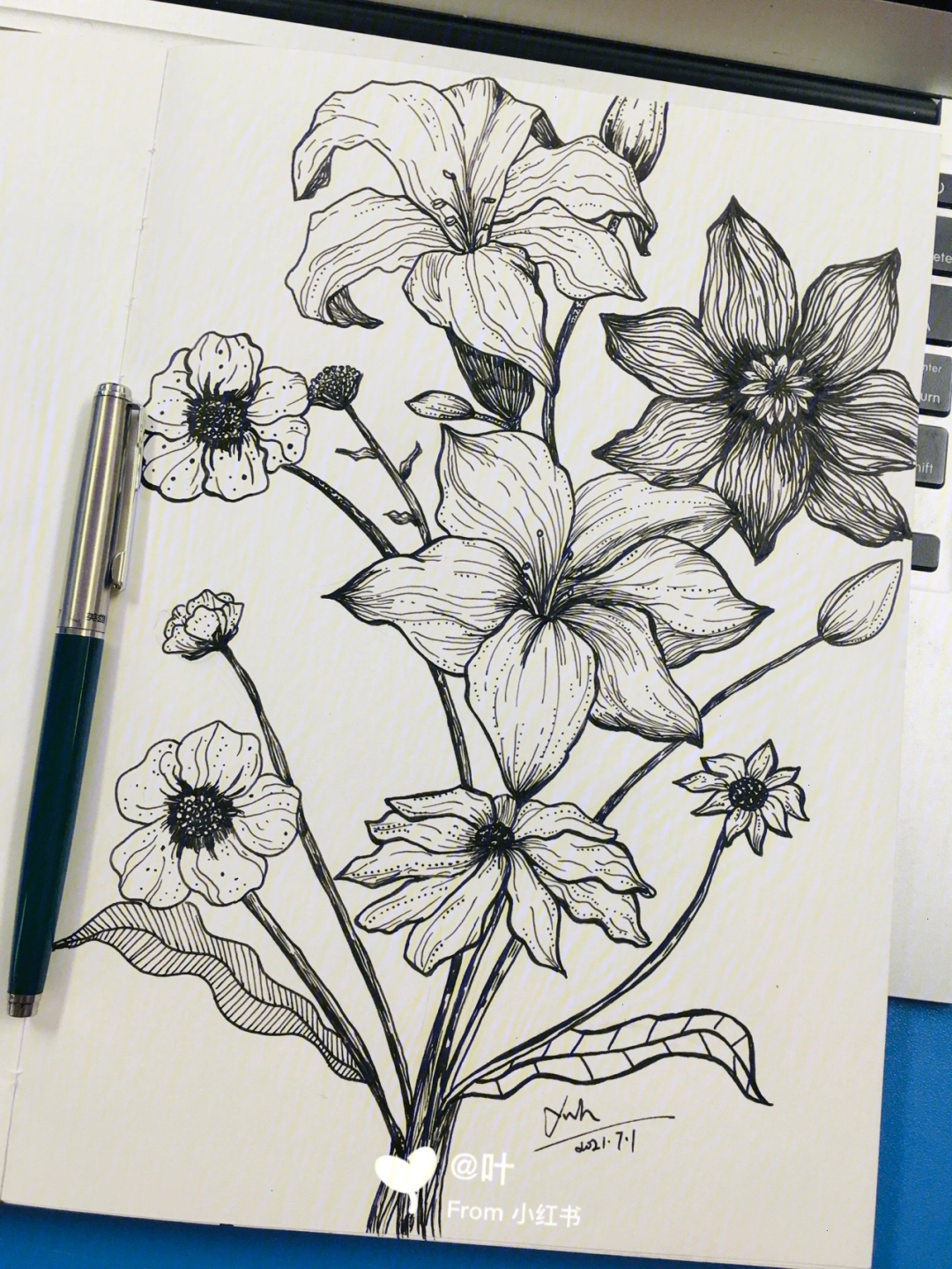 钢笔线描花卉