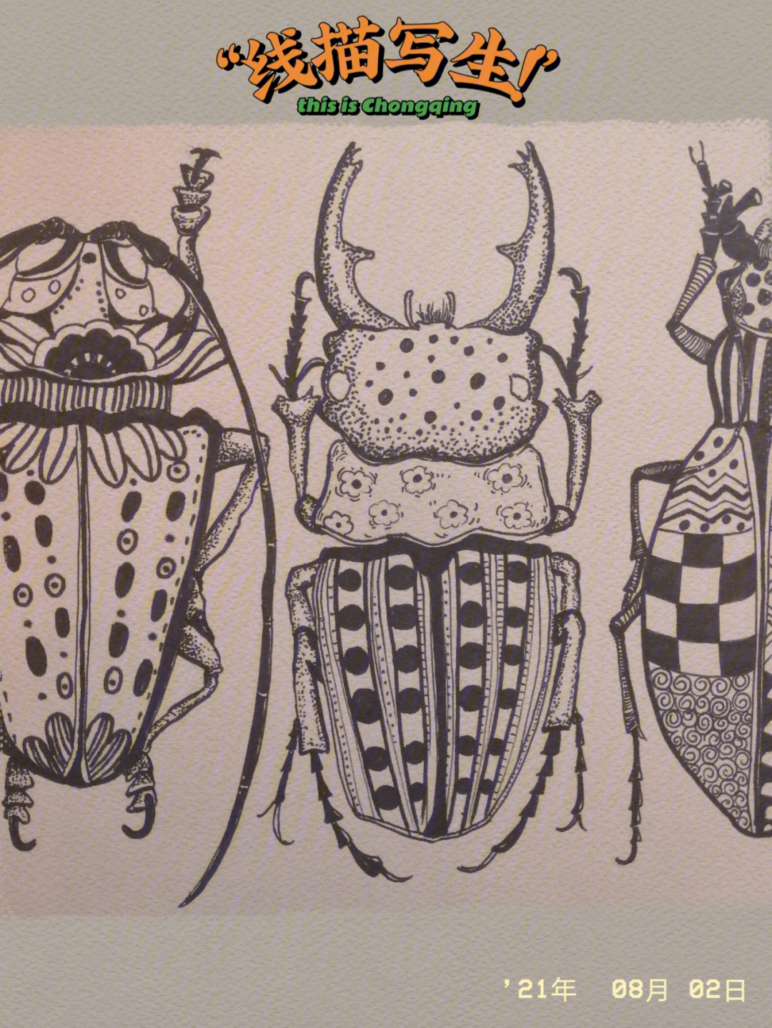 甲壳虫的画法图片