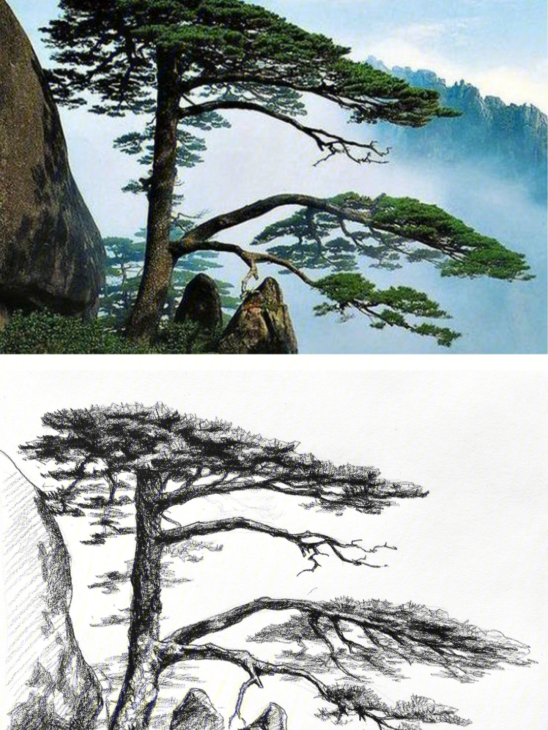 松树的速写画法图片