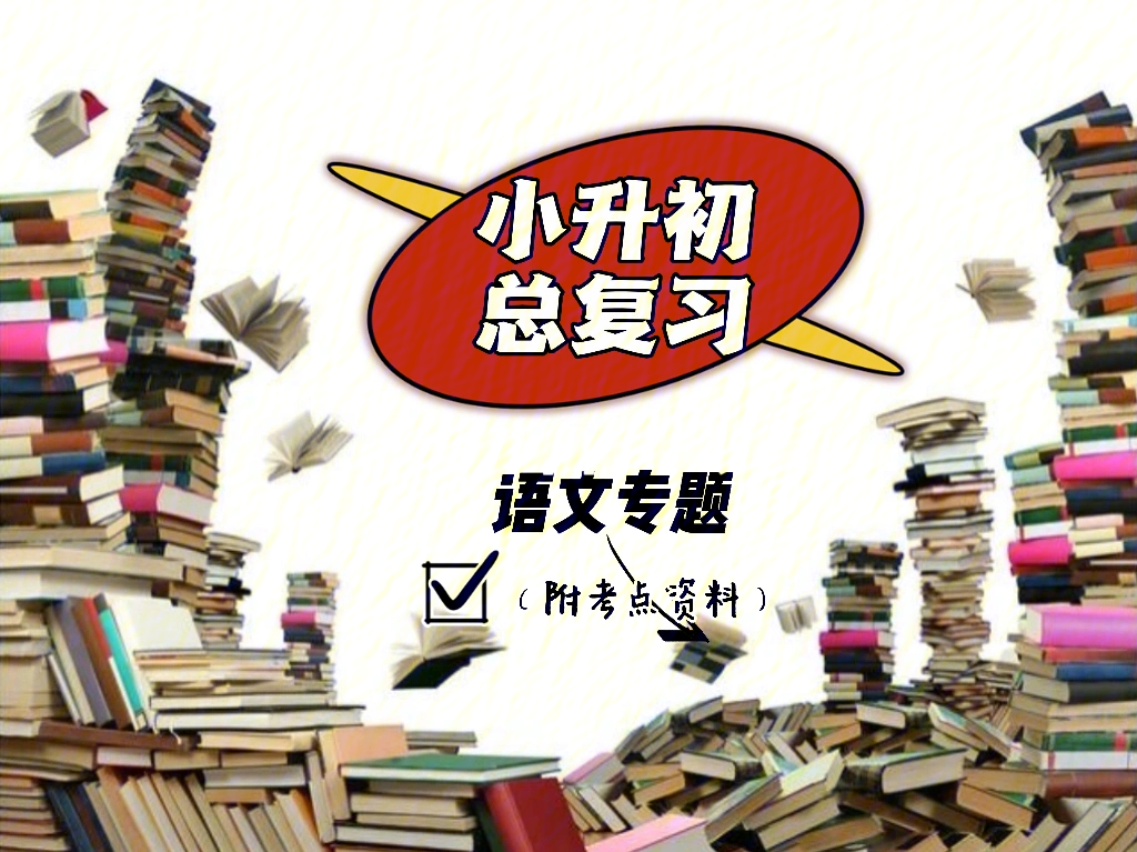 小升初总复习语文必考类知识点专题