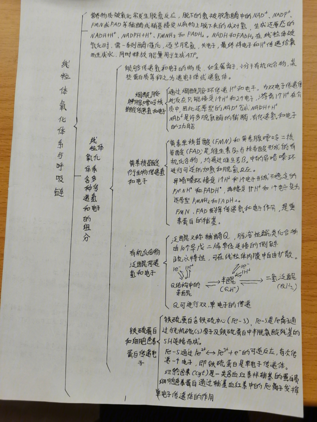 生物化学与分子生物学思维导图