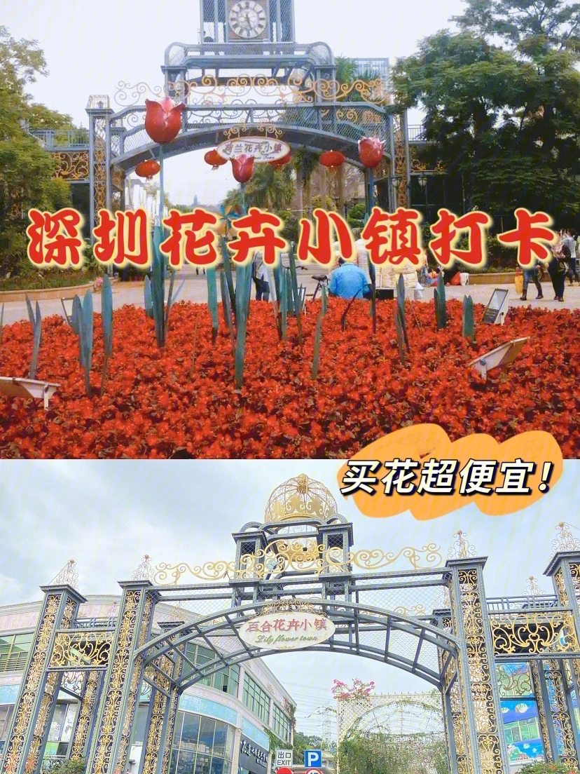 深圳坂田花卉市场图片