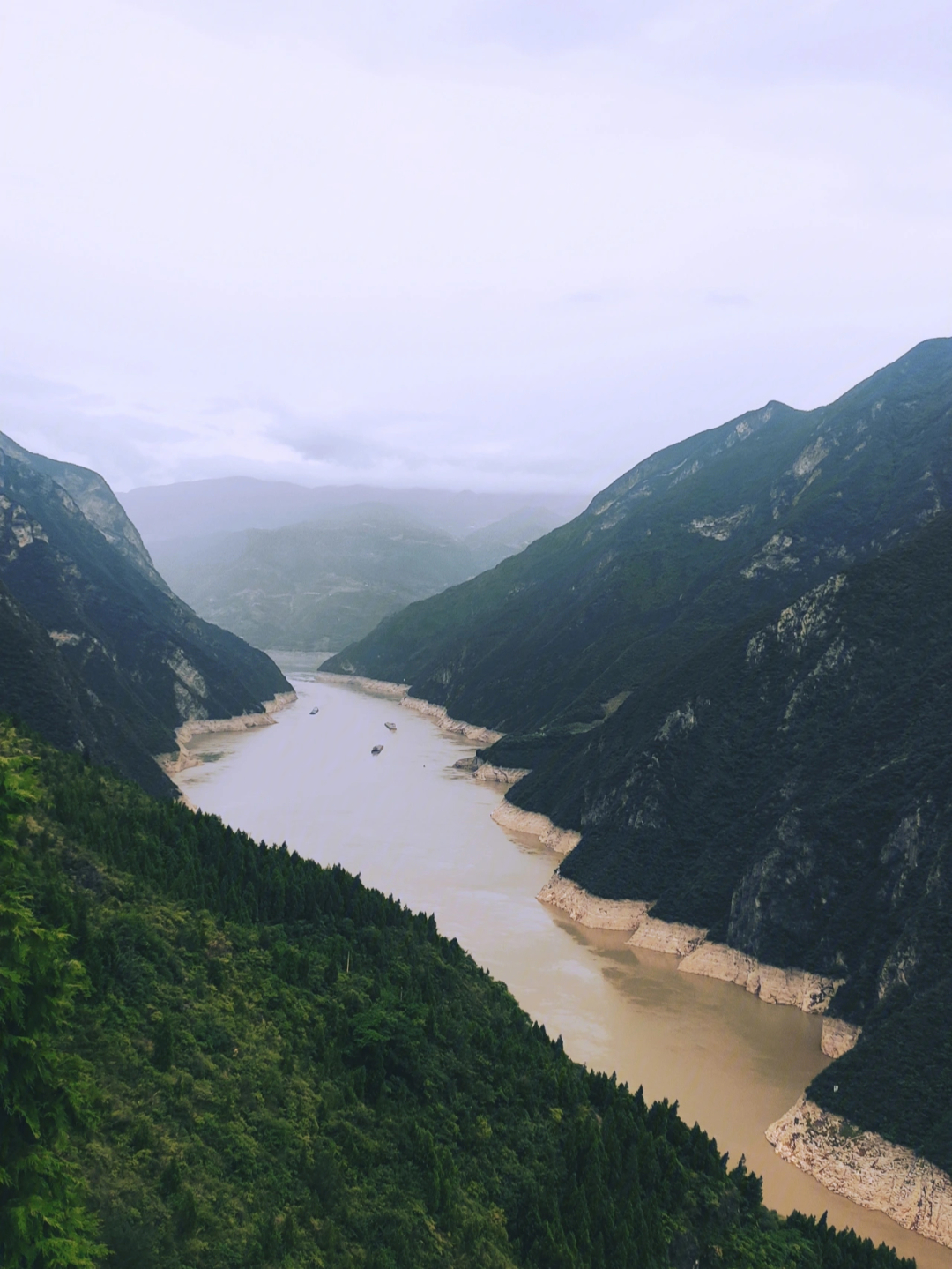 跨过山河大海图片